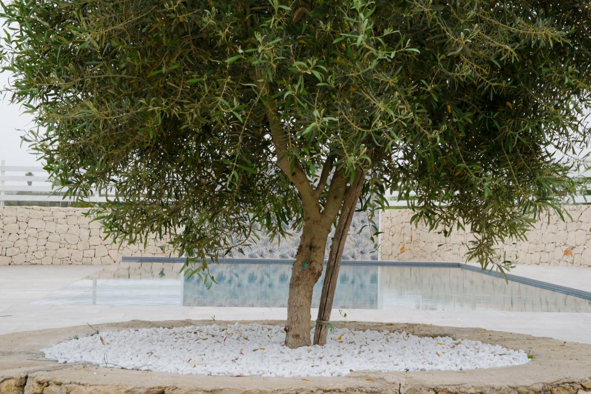 Riserva Naturale Di Vendicari-Noto With Pool - Free Parking Reitani Exterior foto